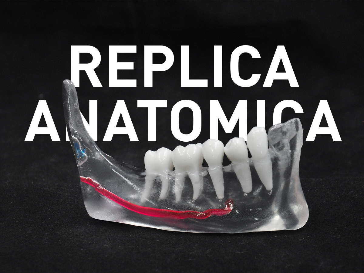 Replica anatomica personalizzata